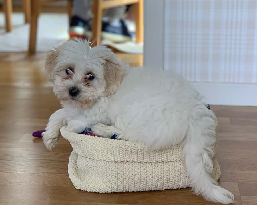 Our first half-year with Monty.