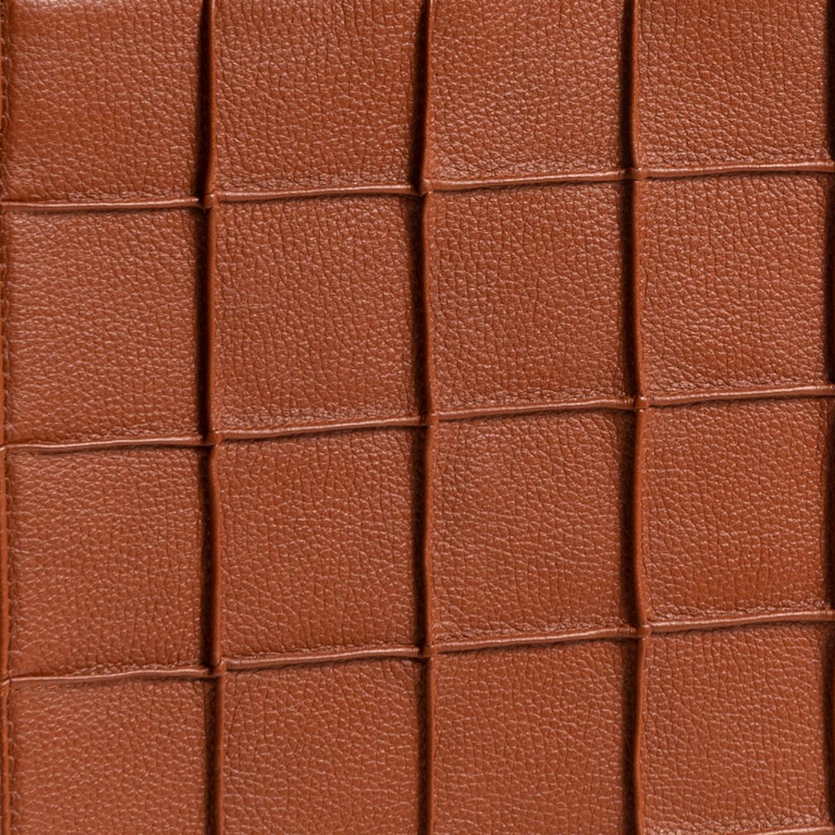 Sofia Mini Tote Cognac 